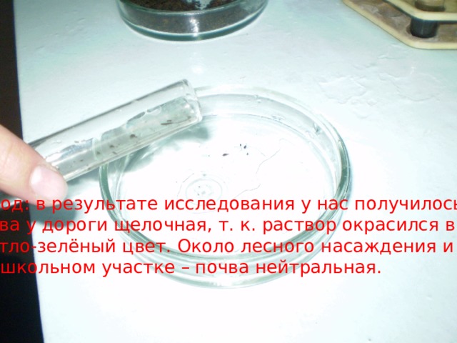 Вывод: в результате исследования у нас получилось, что Почва у дороги щелочная, т. к. раствор окрасился в Светло-зелёный цвет. Около лесного насаждения и на Пришкольном участке – почва нейтральная. 