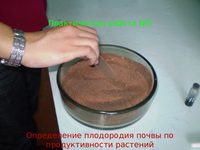 Практическая работа №5 Определение плодородия почвы по продуктивности растений 