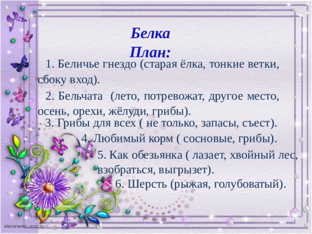 Белка План:  1. Беличье гнездо (старая ёлка, тонкие ветки, сбоку вход). 2. Бельчата (лето, потревожат, другое место, осень, орехи, жёлуди, грибы). 3. Грибы для всех ( не только, запасы, съест).  4. Любимый корм ( сосновые, грибы). 5. Как обезьянка ( лазает, хвойный лес, взобраться, выгрызет).  6. Шерсть (рыжая, голубоватый). 