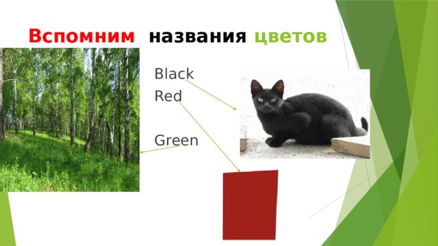 Вспомним  названия цветов Black Red Green 