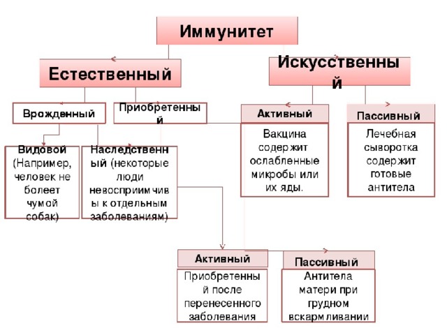 Иммунитет 