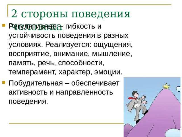 2 стороны поведения человека Регулятивная – гибкость и устойчивость поведения в разных условиях. Реализуется: ощущения, восприятие, внимание, мышление, память, речь, способности, темперамент, характер, эмоции. Побудительная – обеспечивает активность и направленность поведения. 