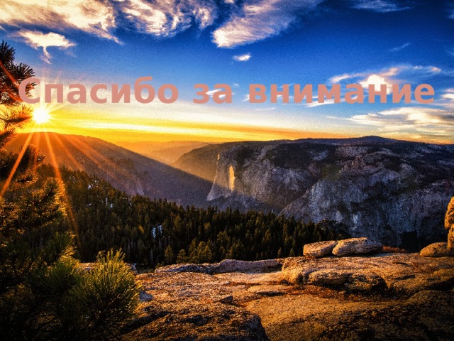 Спасибо за внимание 