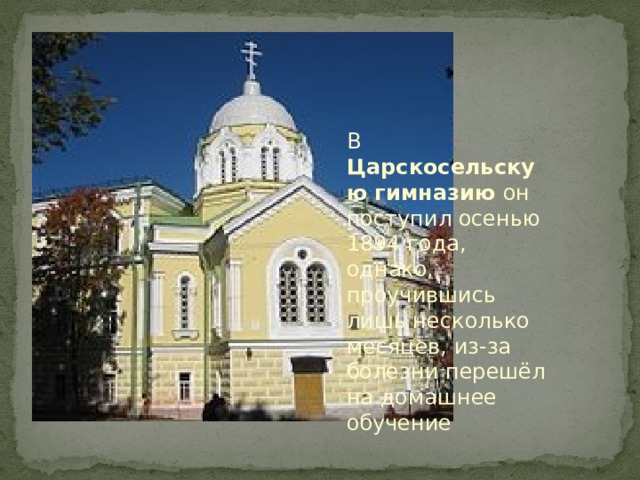 В Царскосельскую гимназию он поступил осенью 1894 года, однако, проучившись лишь несколько месяцев, из-за болезни перешёл на домашнее обучение 