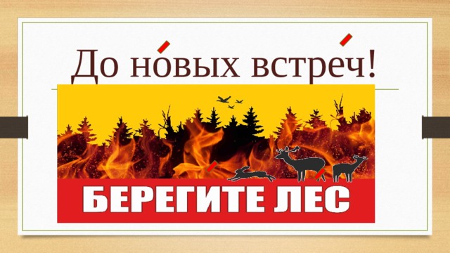 До новых встреч! 