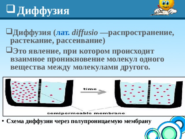 Диффузия Диффузия ( лат.   diffusio —распространение, растекание, рассеивание) Это явление, при котором происходит взаимное проникновение молекул одного вещества между молекулами другого. Схема диффузии через полупроницаемую мембрану 