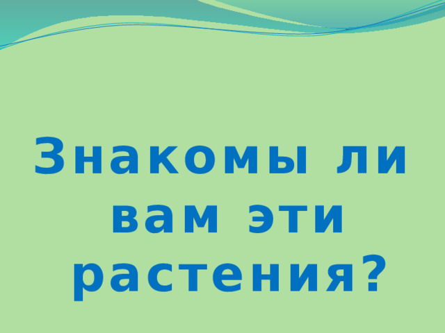 Знакомы ли вам эти растения? 