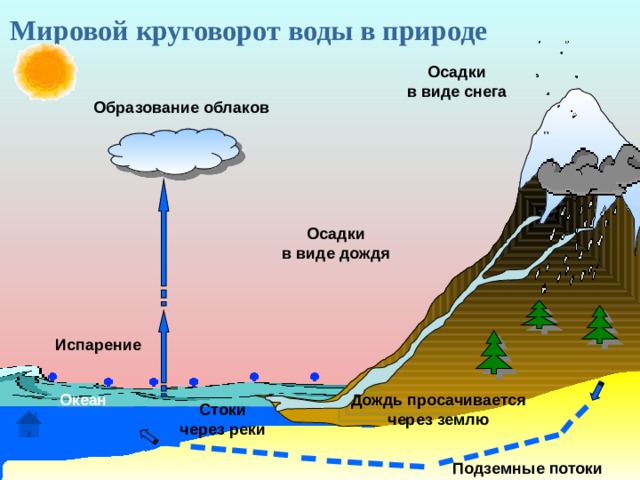 Мировой круговорот воды в природе Осадки в виде снега Образование облаков Осадки в виде дождя Испарение Дождь просачивается Океан через землю Стоки через реки Подземные потоки 