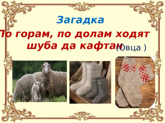 Загадка По горам, по долам ходят шуба да кафтан (Овца ) 
