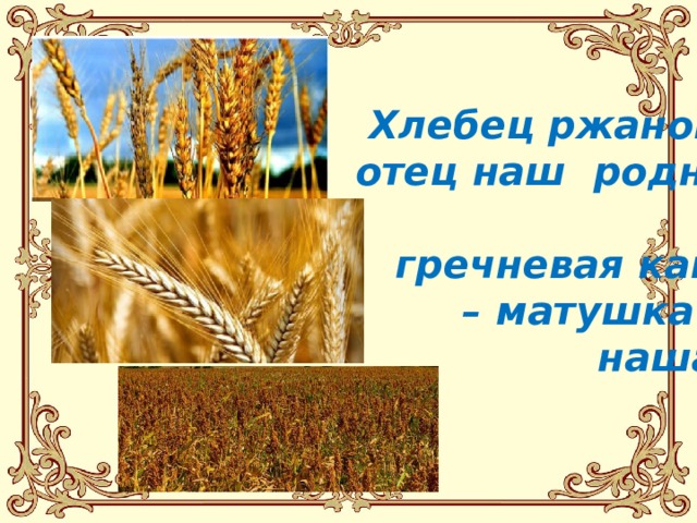  Хлебец ржаной –  отец наш родной,   гречневая каша – матушка  наша 