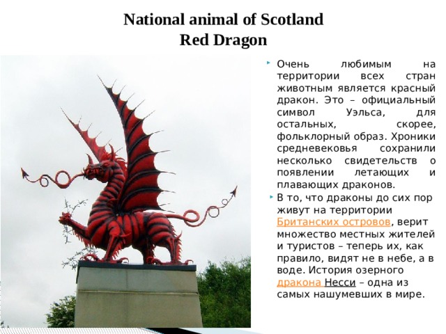 National animal of Scotland  Red Dragon Очень любимым на территории всех стран животным является красный дракон. Это – официальный символ Уэльса, для остальных, скорее, фольклорный образ. Хроники средневековья сохранили несколько свидетельств о появлении летающих и плавающих драконов. В то, что драконы до сих пор живут на территории  Британских островов , верит множество местных жителей и туристов – теперь их, как правило, видят не в небе, а в воде. История озерного  дракона Несси  – одна из самых нашумевших в мире. 