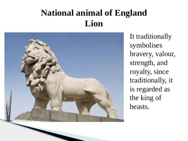 National animal of England  Lion   It traditionally symbolises bravery, valour, strength, and royalty, since traditionally, it is regarded as the king of beasts. 