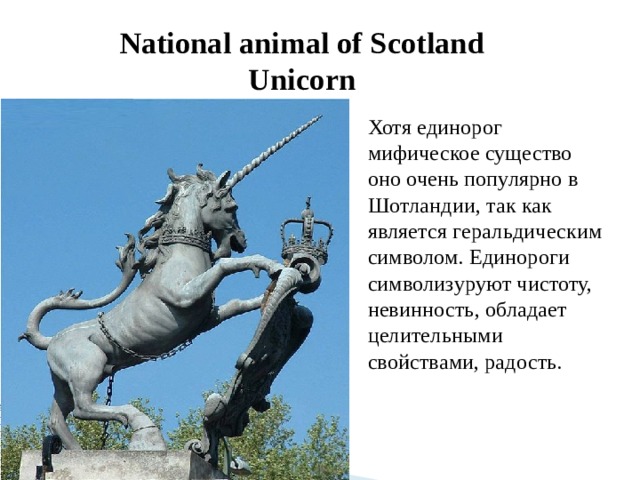 National animal of Scotland  Unicorn Хотя единорог мифическое существо оно очень популярно в Шотландии, так как является геральдическим символом. Единороги символизуруют чистоту, невинность, обладает целительными свойствами, радость.   
