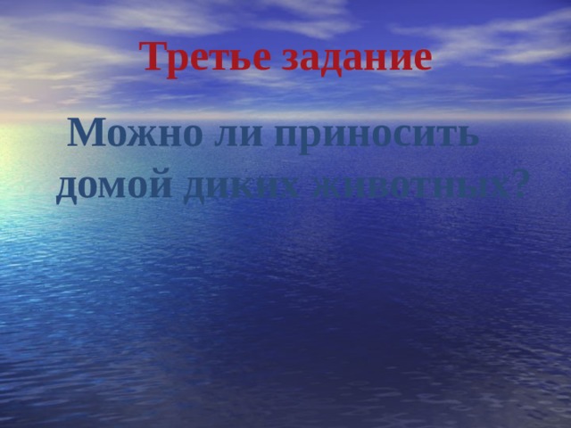 Третье задание  Можно ли приносить домой диких животных? 