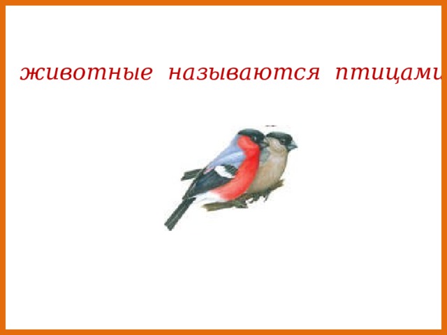 К акие животные называются птицами ? 