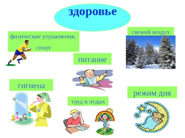здоровье свежий воздух физические упражнения, спорт питание гигиена режим дня труд и отдых 