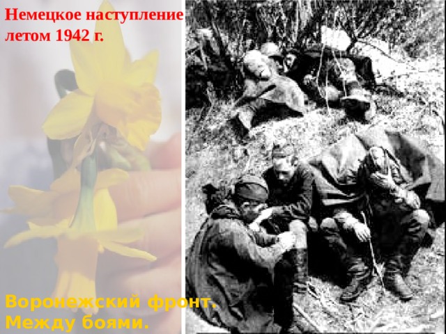 Немецкое наступление летом 1942 г. Они вышли к Дону 24июля заняли Ростов-на-Дону. Сталин, чтобы спасти ситуацию подписывает приказ №227(«Ни шагу назад!»).В начале сентя-бря немцы подошли к Сталинграду и на окраинах города завязались уличные бои. Врагу уда-лось разрезать город на-двое выйдя к Волге в самом центре Сталинграда, но постепенно их нас-тупательный потенциал иссяк и немцы сами перешли к обороне.  Воронежский фронт. Между боями. 