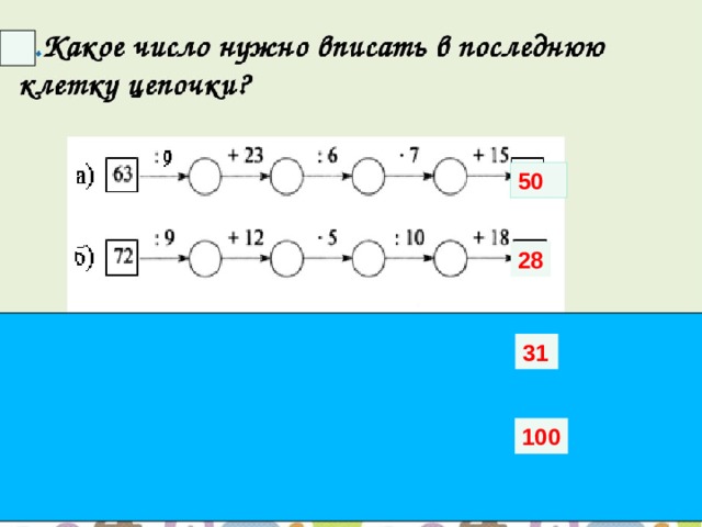 50 28 31 100 