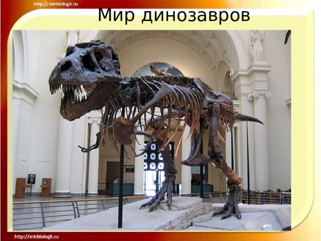 Мир динозавров 