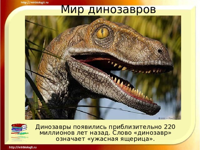 Мир динозавров Динозавры появились приблизительно 220 миллионов лет назад. Слово «динозавр» означает «ужасная ящерица». 