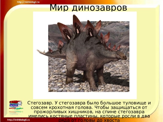 Мир динозавров Стегозавр. У стегозавра было большое туловище и совсем крохотная голова. Чтобы защищаться от прожорливых хищников, на спине стегозавра имелись костяные пластины, которые росли в два ряда от головы до хвоста 