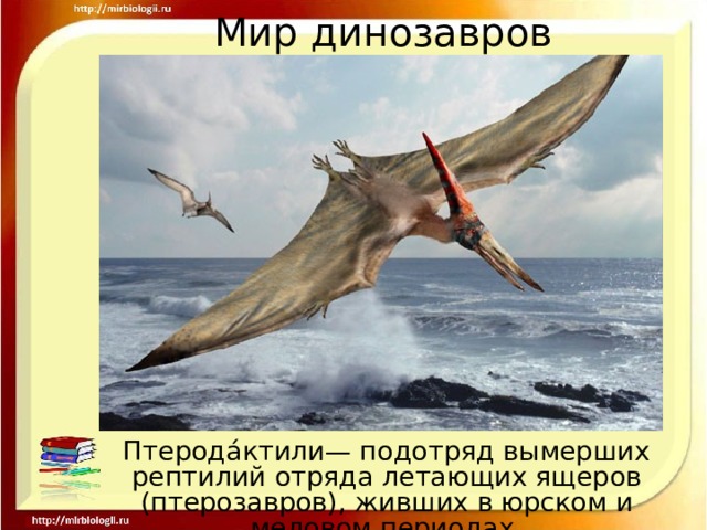 Мир динозавров Птерода́ктили— подотряд вымерших рептилий отряда летающих ящеров (птерозавров), живших в юрском и меловом периодах. 