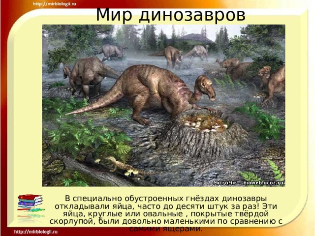 Мир динозавров В специально обустроенных гнёздах динозавры откладывали яйца, часто до десяти штук за раз! Эти яйца, круглые или овальные , покрытые твёрдой скорлупой, были довольно маленькими по сравнению с самими ящерами. 