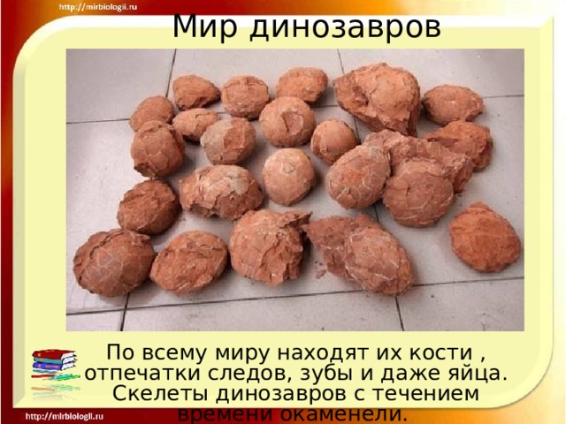 Мир динозавров По всему миру находят их кости , отпечатки следов, зубы и даже яйца. Скелеты динозавров с течением времени окаменели. 