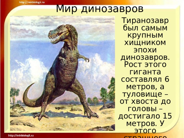 Мир динозавров Тиранозавр был самым крупным хищником эпохи динозавров. Рост этого гиганта составлял 6 метров, а туловище – от хвоста до головы – достигало 15 метров. У этого страшного хищника были острые , как кинжалы зубы. 
