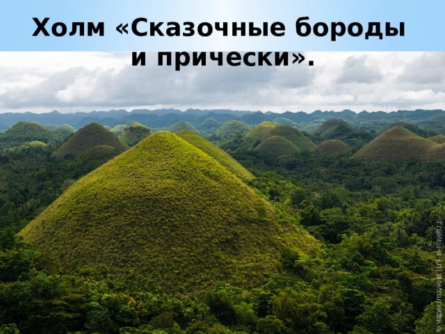 Холм «Сказочные бороды  и прически». 