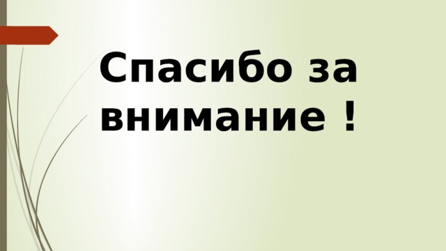 Спасибо за внимание ! 
