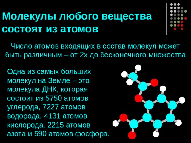 Молекулы любого вещества состоят из атомов Число атомов входящих в состав молекул может быть различным – от 2х до бесконечного множества Одна из самых больших молекул на Земле – это молекула ДНК, которая состоит из 5750 атомов углерода, 7227 атомов водорода, 4131 атомов кислорода, 2215 атомов азота и 590 атомов фосфора. 