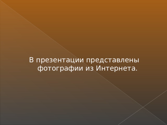 В презентации представлены фотографии из Интернета.  