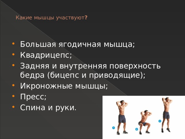 Какие мышцы участвуют ?    Большая ягодичная мышца; Квадрицепс; Задняя и внутренняя поверхность бедра (бицепс и приводящие); Икроножные мышцы; Пресс; Спина и руки. 
