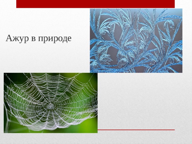 Ажур в природе 
