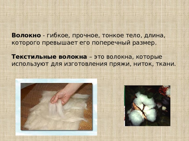Волокно - гибкое, прочное, тонкое тело, длина, которого превышает его поперечный размер.   Текстильные волокна – это волокна, которые используют для изготовления пряжи, ниток, ткани.       