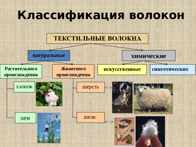 Классификация волокон натуральные химические Растительного происхождения Животного происхождения синтетические искусственные хлопок шерсть шелк  лен  