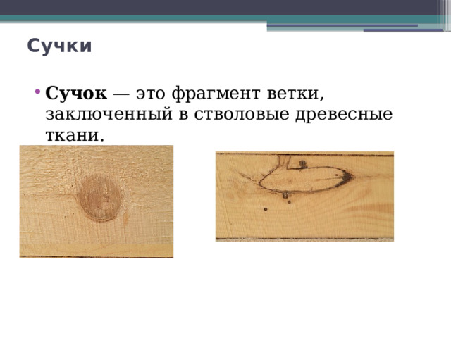 Сучки   Сучок  — это фрагмент ветки, заключенный в стволовые древесные ткани. 