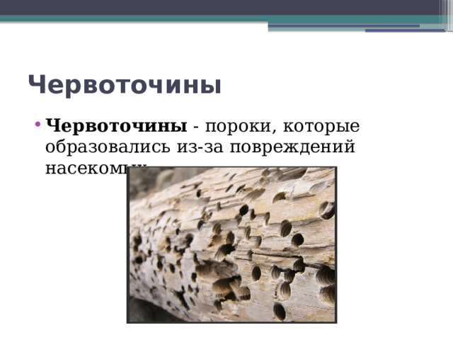 Червоточины Червоточины - пороки, которые образовались из-за повреждений насекомых. 