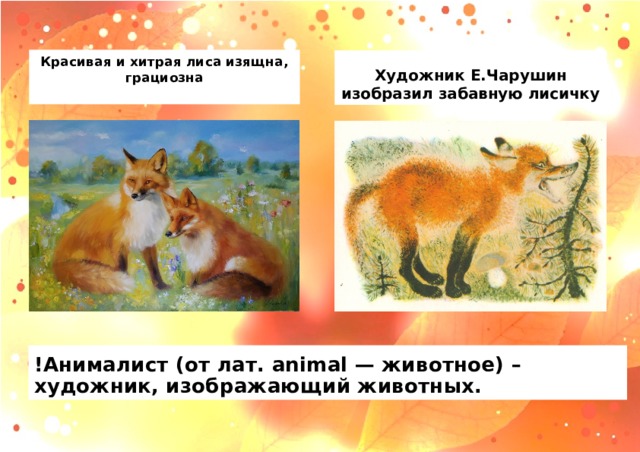 Красивая и хитрая лиса изящна, грациозна   Художник Е.Чарушин изобразил забавную лисичку !Анималист (от лат. animal — животное) – художник, изображающий животных. 