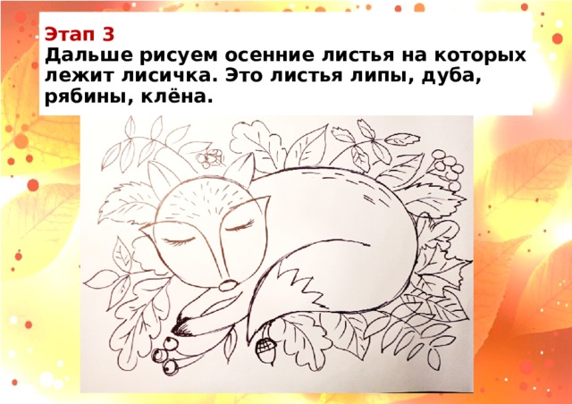 Этап 3  Дальше рисуем осенние листья на которых лежит лисичка. Это листья липы, дуба, рябины, клёна. 