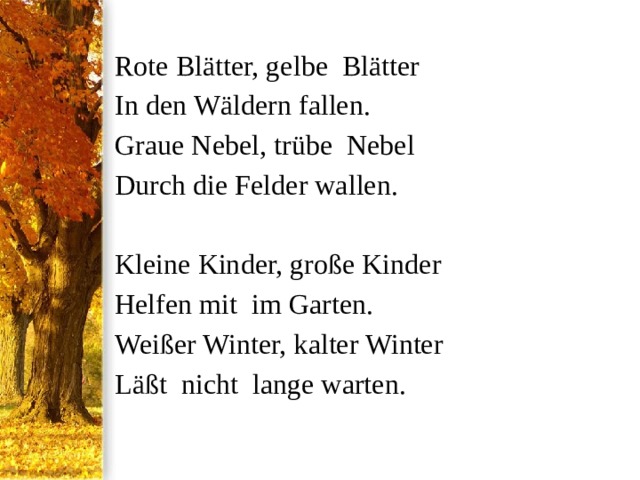 Rote Blätter, gelbe Blätter In den Wäldern fallen. Graue Nebel, trübe Nebel Durch die Felder wallen.  Kleine Kinder, große Kinder Helfen mit im Garten. Weißer Winter, kalter Winter Läßt nicht lange warten. 
