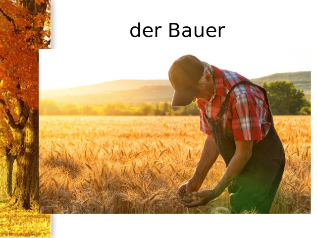 der Bauer 