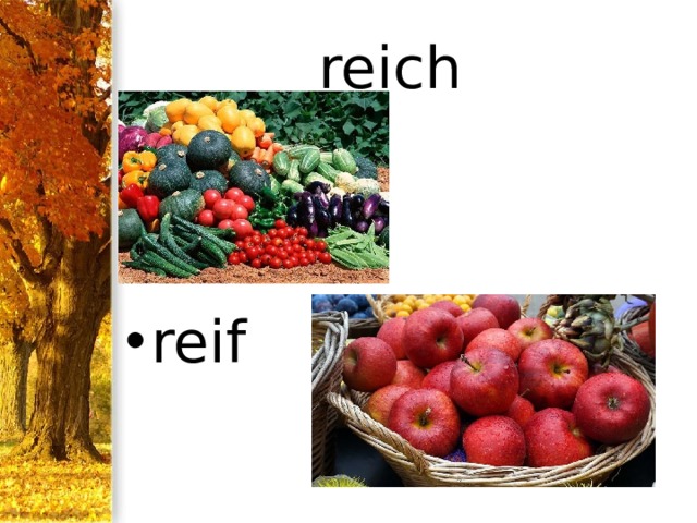 reich reif 