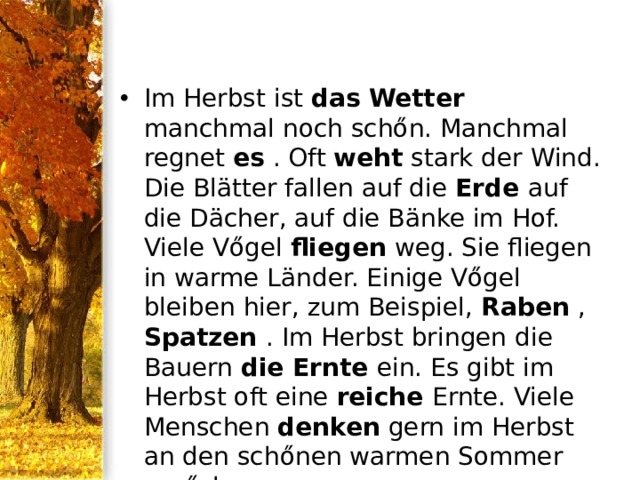 Im Herbst ist das  Wetter manchmal noch schőn. Manchmal regnet es . Oft weht stark der Wind. Die Blätter fallen auf die Erde auf die Dächer, auf die Bänke im Hof. Viele Vőgel fliegen weg. Sie fliegen in warme Länder. Einige Vőgel bleiben hier, zum Beispiel, Raben , Spatzen . Im Herbst bringen die Bauern die Ernte ein. Es gibt im Herbst oft eine reiche Ernte. Viele Menschen denken gern im Herbst an den schőnen warmen Sommer zurűck 