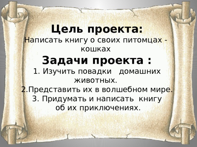    Цель проекта:  Написать книгу о своих питомцах - кошках  Задачи проекта :  1. Изучить повадки домашних животных.   2.Представить их в волшебном мире.  3. Придумать и написать книгу  об их приключениях.        