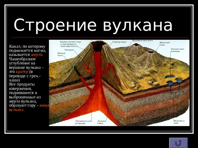 Строение вулкана Канал, по которому поднимается магма, называется жерло.  Чашеобразное углубление на вершине вулкана – это кратер (в переводе с греч.- чаша)  Все продукты извержения, поднявшиеся и выброшенные из жерла вулкана, образуют гору - конус вулкана 