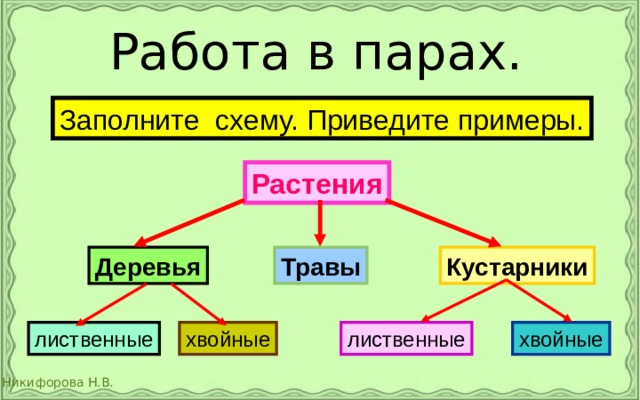 Работа в парах.  Заполните схему. Приведите примеры. Растения Травы Деревья Кустарники лиственные лиственные хвойные хвойные 