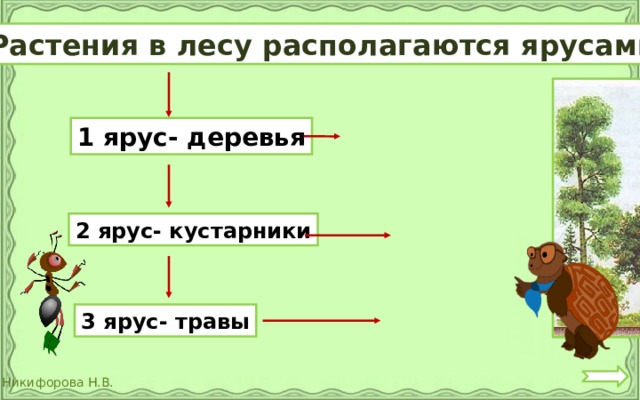 Растения в лесу располагаются ярусами 1 ярус- деревья 2 ярус- кустарники 3 ярус- травы 