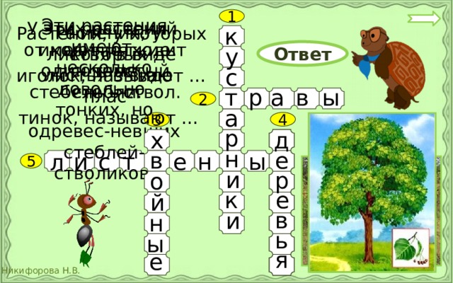 1 Эти растения имеют несколько довольно тонких, но одревес-невших стеблей- стволиков. Эти растения имеют мягкие сочные У этих растений  стебли. от корня отходит один толстый стебель – ствол. Растения, у которых листья в виде плас- тинок, называют … Растения, у которых листья в виде иголок, называют … к у Ответ с а ы в т р 2 а 4 3 р х д н е в и с е н ы т л 5 и р о е к й в и н ь ы я е 